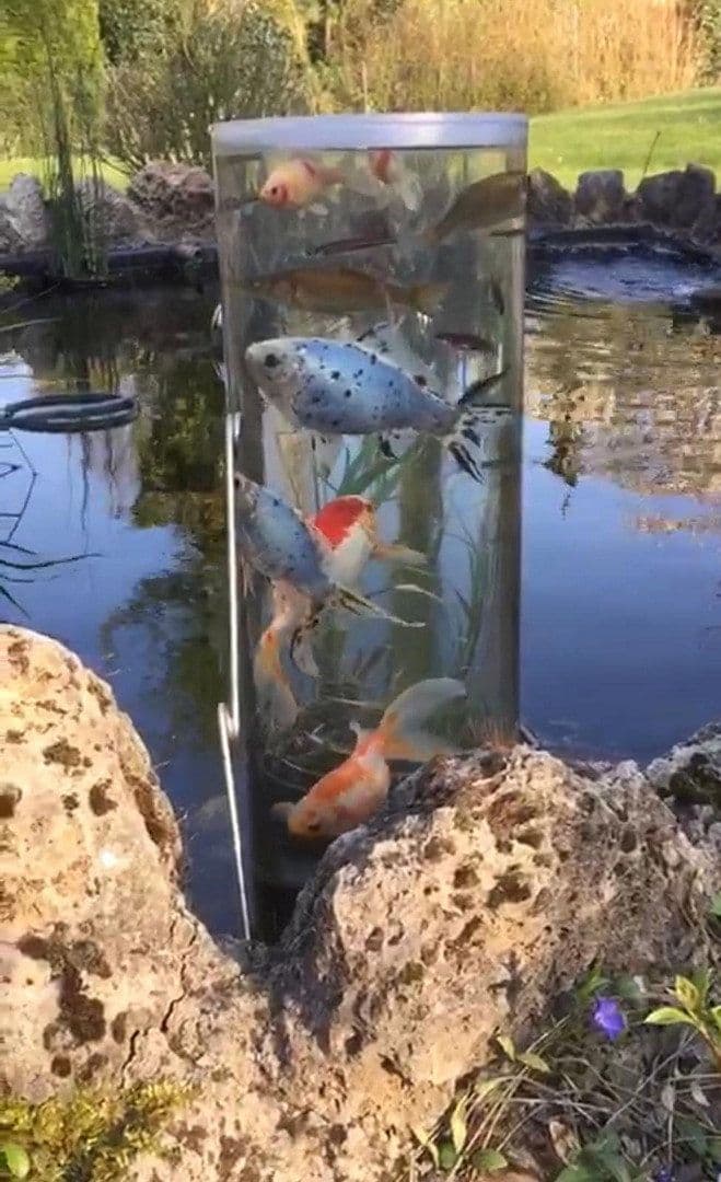 house for sale, 263 m², Rödinghausen, North Rhine-Westphalia house for sale, 263 m², Rödinghausen, North Rhine-Westphalia