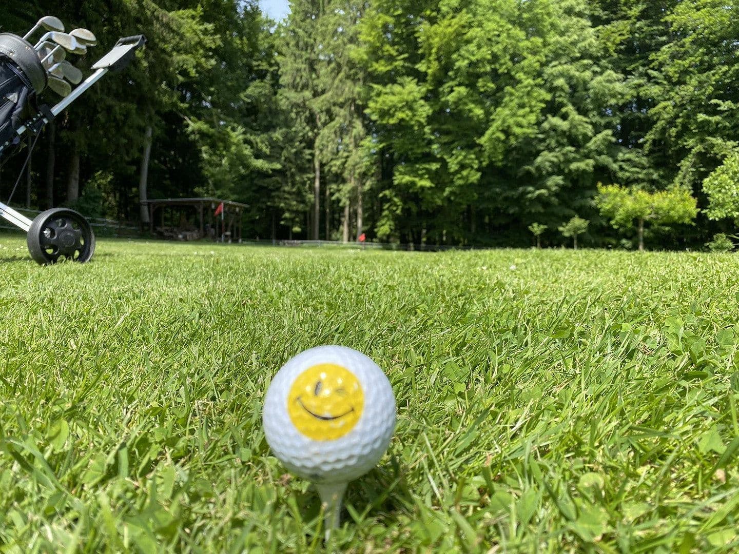 house for sale, 263 m², Rödinghausen, North Rhine-Westphalia house for sale, 263 m², Rödinghausen, North Rhine-Westphalia