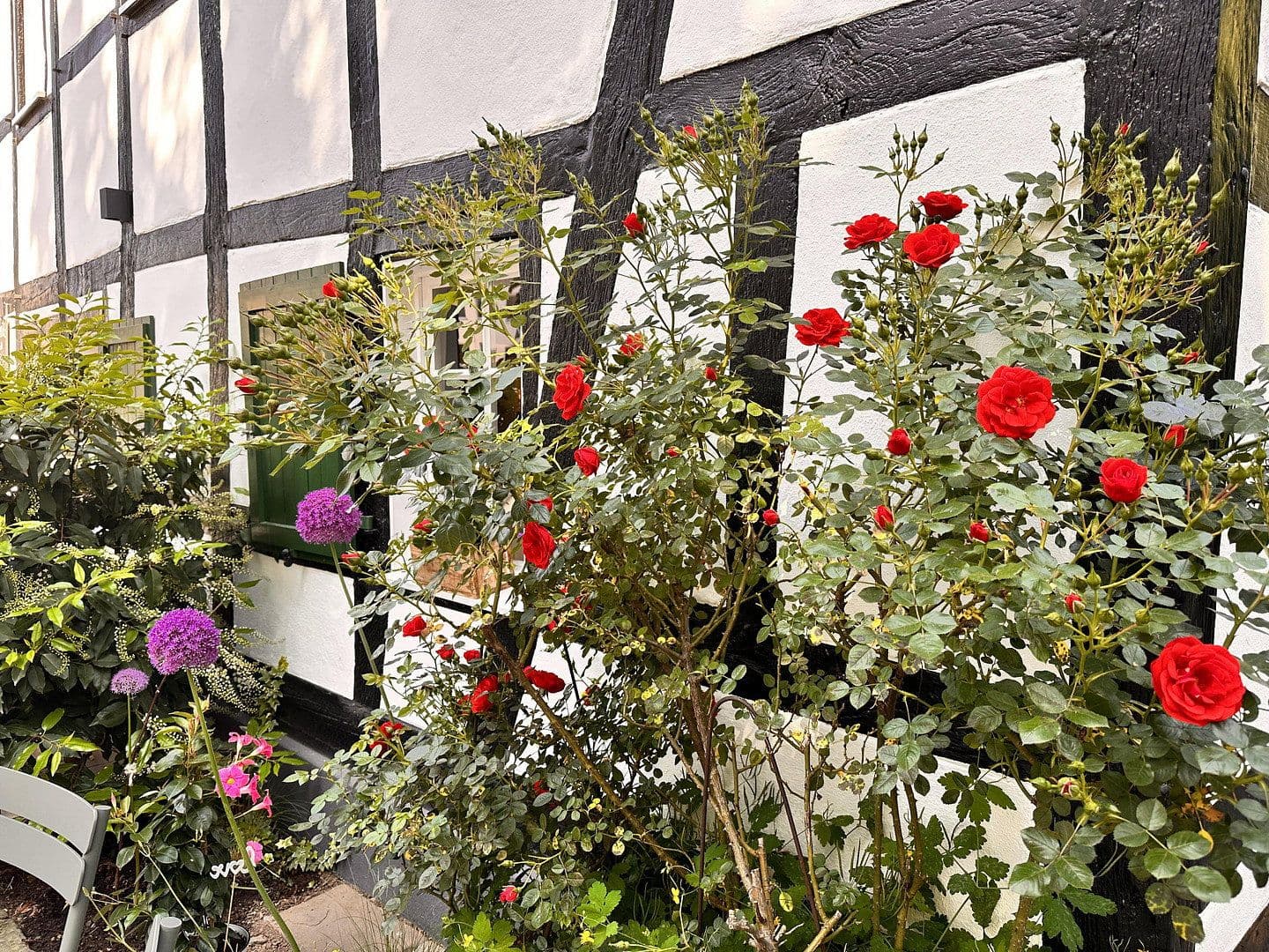 non-residential property for sale, 388 m², Bergisch Gladbach, North Rhine-Westphalia non-residential property for sale, 388 m², Bergisch Gladbach, North Rhine-Westphalia