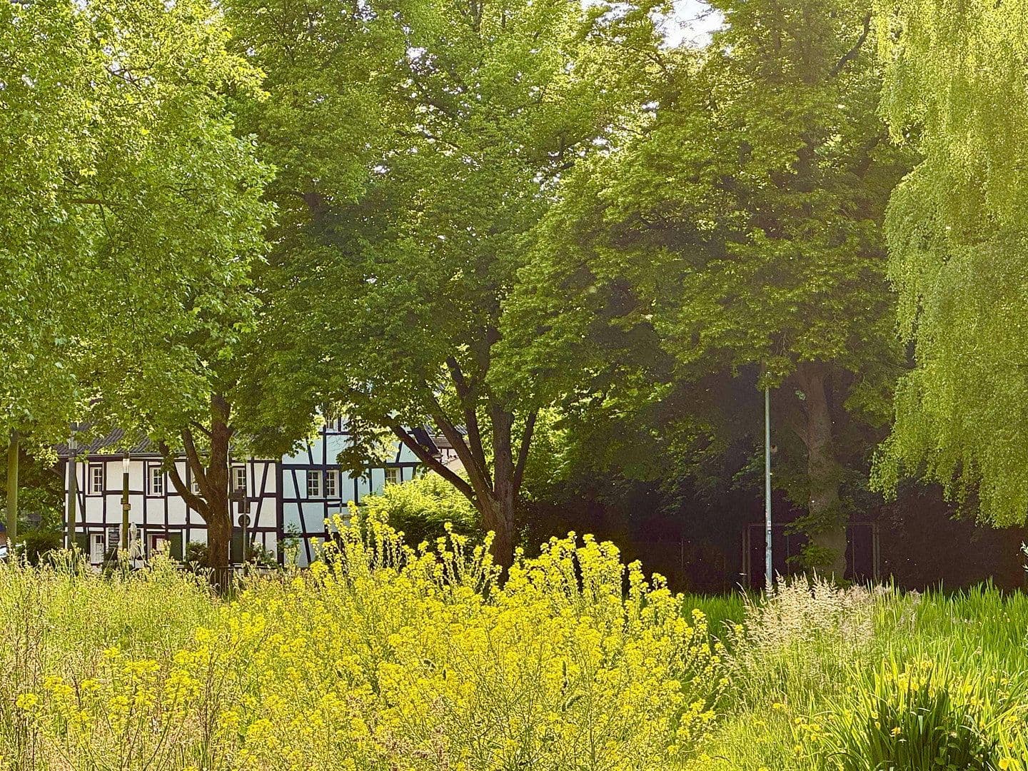 non-residential property for sale, 388 m², Bergisch Gladbach, North Rhine-Westphalia non-residential property for sale, 388 m², Bergisch Gladbach, North Rhine-Westphalia