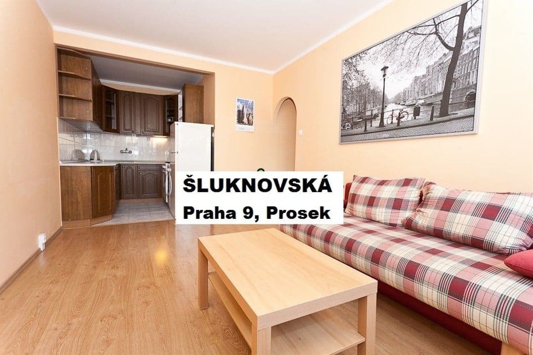 1 bedroom with open-plan kitchen flat for sale, 39 m², Šluknovská, Prague, Prague 1 bedroom with open-plan kitchen flat for sale, 39 m², Šluknovská, Prague, Prague
