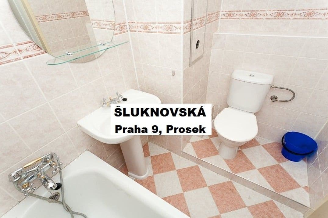 1 bedroom with open-plan kitchen flat for sale, 39 m², Šluknovská, Prague, Prague 1 bedroom with open-plan kitchen flat for sale, 39 m², Šluknovská, Prague, Prague