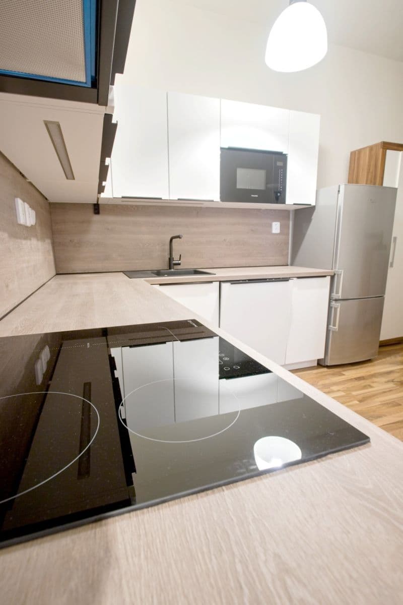 1 bedroom with open-plan kitchen flat to rent, 58 m², Na Veselí, Prague, Prague 1 bedroom with open-plan kitchen flat to rent, 58 m², Na Veselí, Prague, Prague