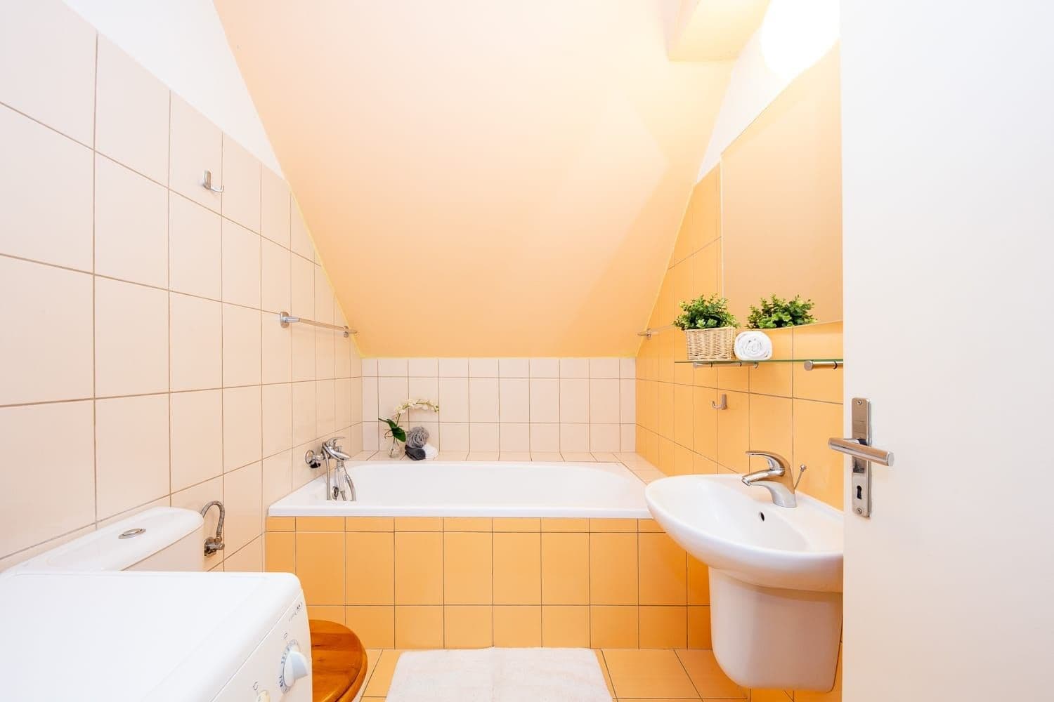 Studio flat to rent, 36 m², Červený kopec, Brno, Jihomoravský Region Studio flat to rent, 36 m², Červený kopec, Brno, Jihomoravský Region