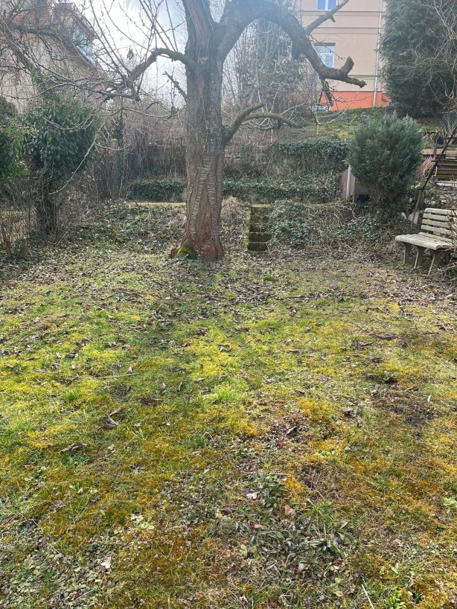 2 bedroom flat to rent, 50 m², V Břízkách, Prague, Prague 2 bedroom flat to rent, 50 m², V Břízkách, Prague, Prague