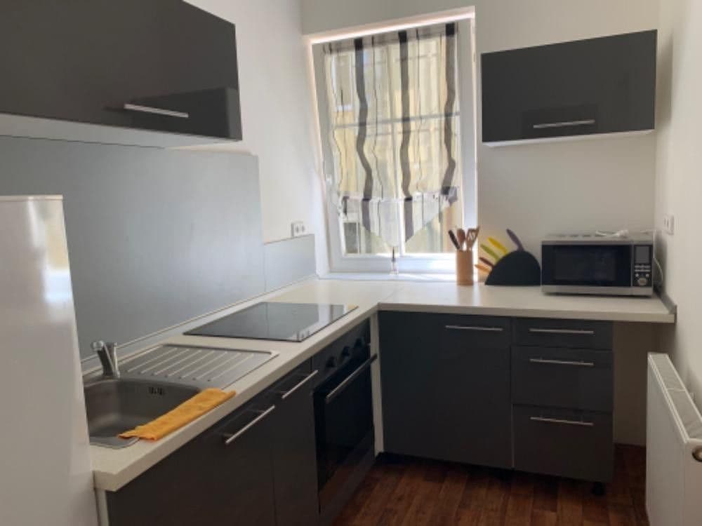 1 bedroom with open-plan kitchen flat to rent, 52 m², Sudoměřská, Prague, Prague 1 bedroom with open-plan kitchen flat to rent, 52 m², Sudoměřská, Prague, Prague