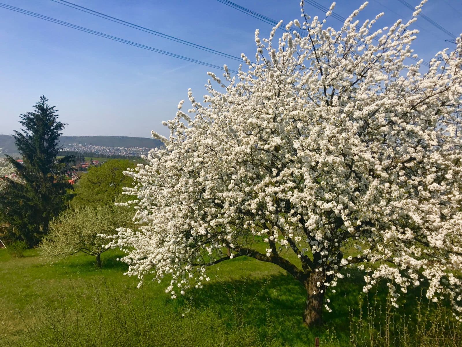 house for sale, 242 m², Za Dálnicí, Prague, Prague house for sale, 242 m², Za Dálnicí, Prague, Prague