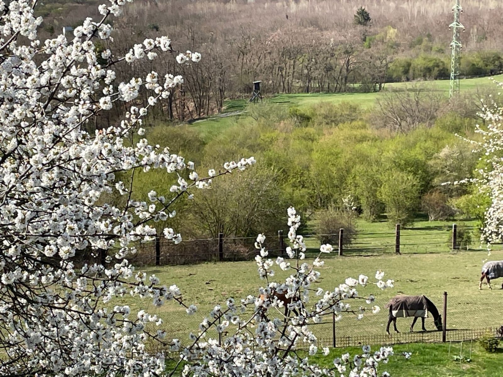 house for sale, 242 m², Za Dálnicí, Prague, Prague house for sale, 242 m², Za Dálnicí, Prague, Prague