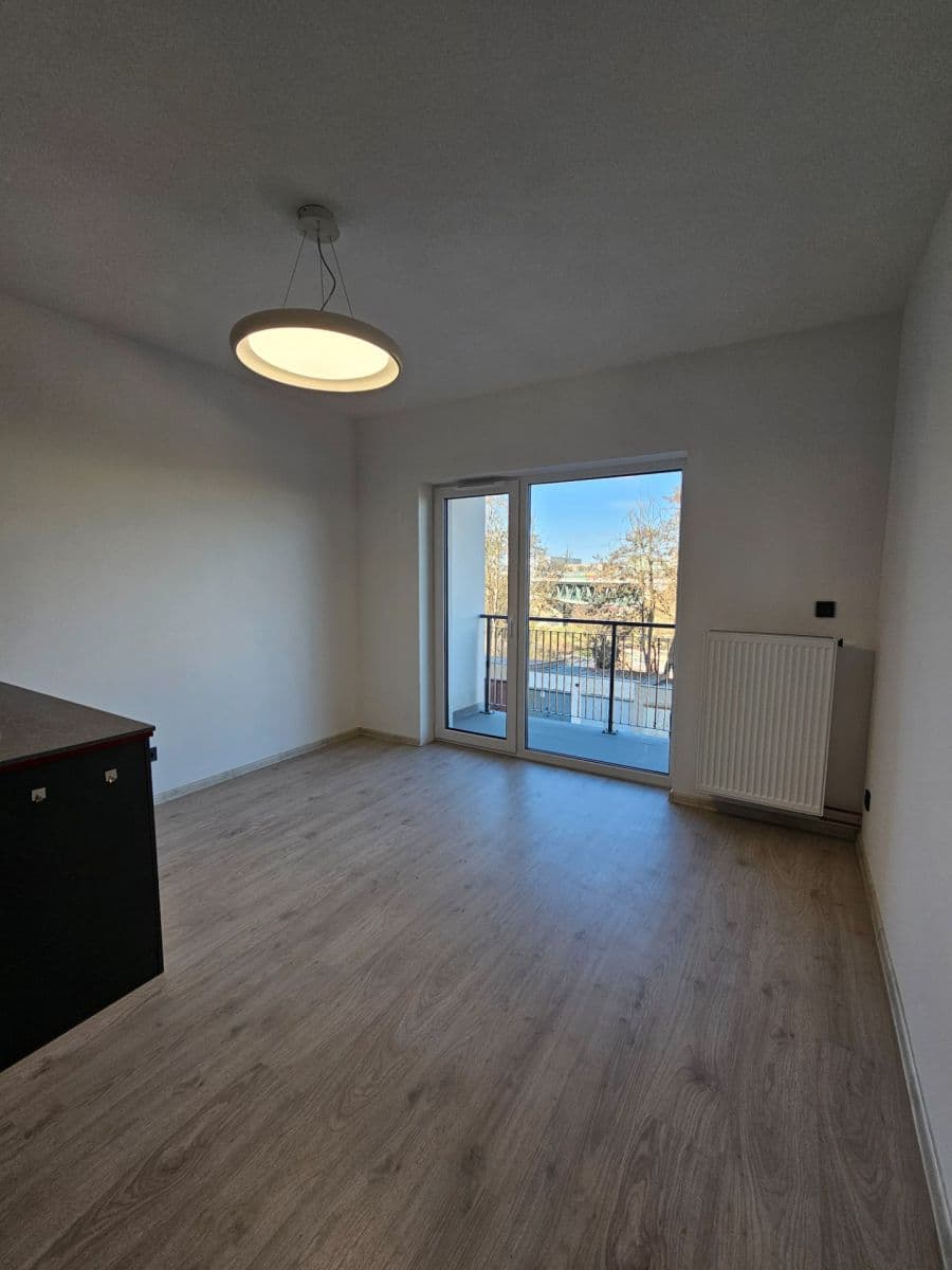 1 bedroom with open-plan kitchen flat to rent, 42 m², Pilařská, Plzeň, Plzeňský Region 1 bedroom with open-plan kitchen flat to rent, 42 m², Pilařská, Plzeň, Plzeňský Region