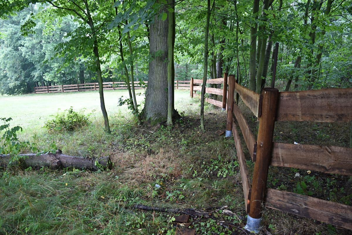 recreational property for sale, 18,000 m², Heřmaničky, Středočeský Region recreational property for sale, 18,000 m², Heřmaničky, Středočeský Region