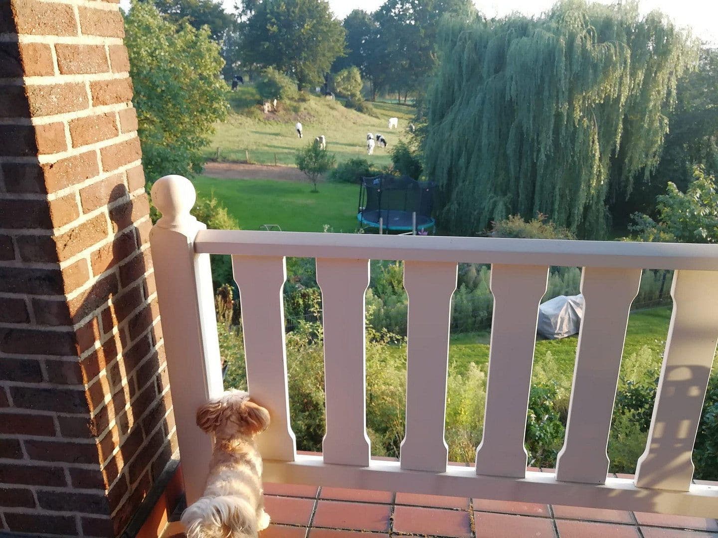 house for sale, 378 m², Nettetal, North Rhine-Westphalia house for sale, 378 m², Nettetal, North Rhine-Westphalia