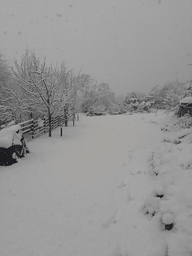 house for sale, 378 m², Nettetal, North Rhine-Westphalia house for sale, 378 m², Nettetal, North Rhine-Westphalia