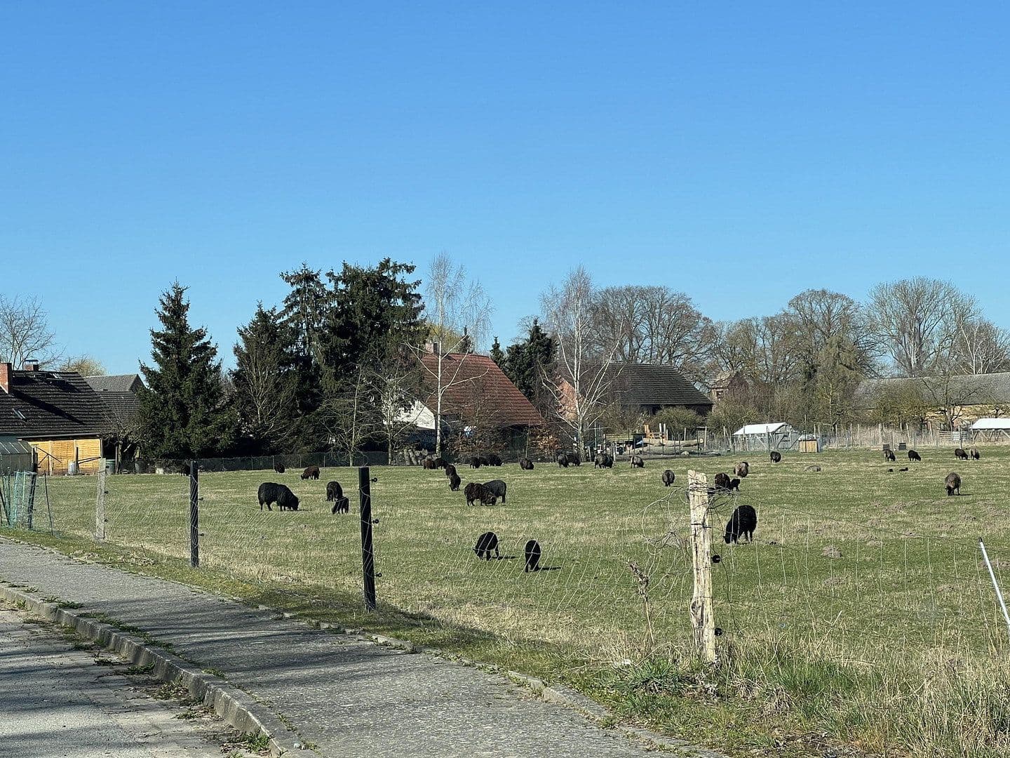 house for sale, 156 m², Medow, Mecklenburg-Vorpommern house for sale, 156 m², Medow, Mecklenburg-Vorpommern