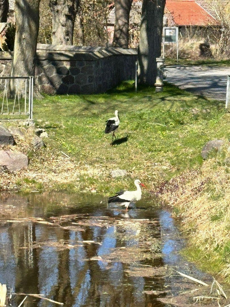 house for sale, 156 m², Medow, Mecklenburg-Vorpommern house for sale, 156 m², Medow, Mecklenburg-Vorpommern