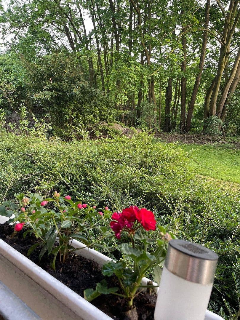 2 bedroom flat to rent, 45 m², Münster, North Rhine-Westphalia 2 bedroom flat to rent, 45 m², Münster, North Rhine-Westphalia