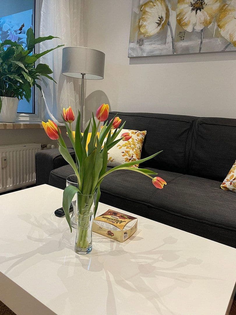 2 bedroom flat to rent, 45 m², Münster, North Rhine-Westphalia 2 bedroom flat to rent, 45 m², Münster, North Rhine-Westphalia