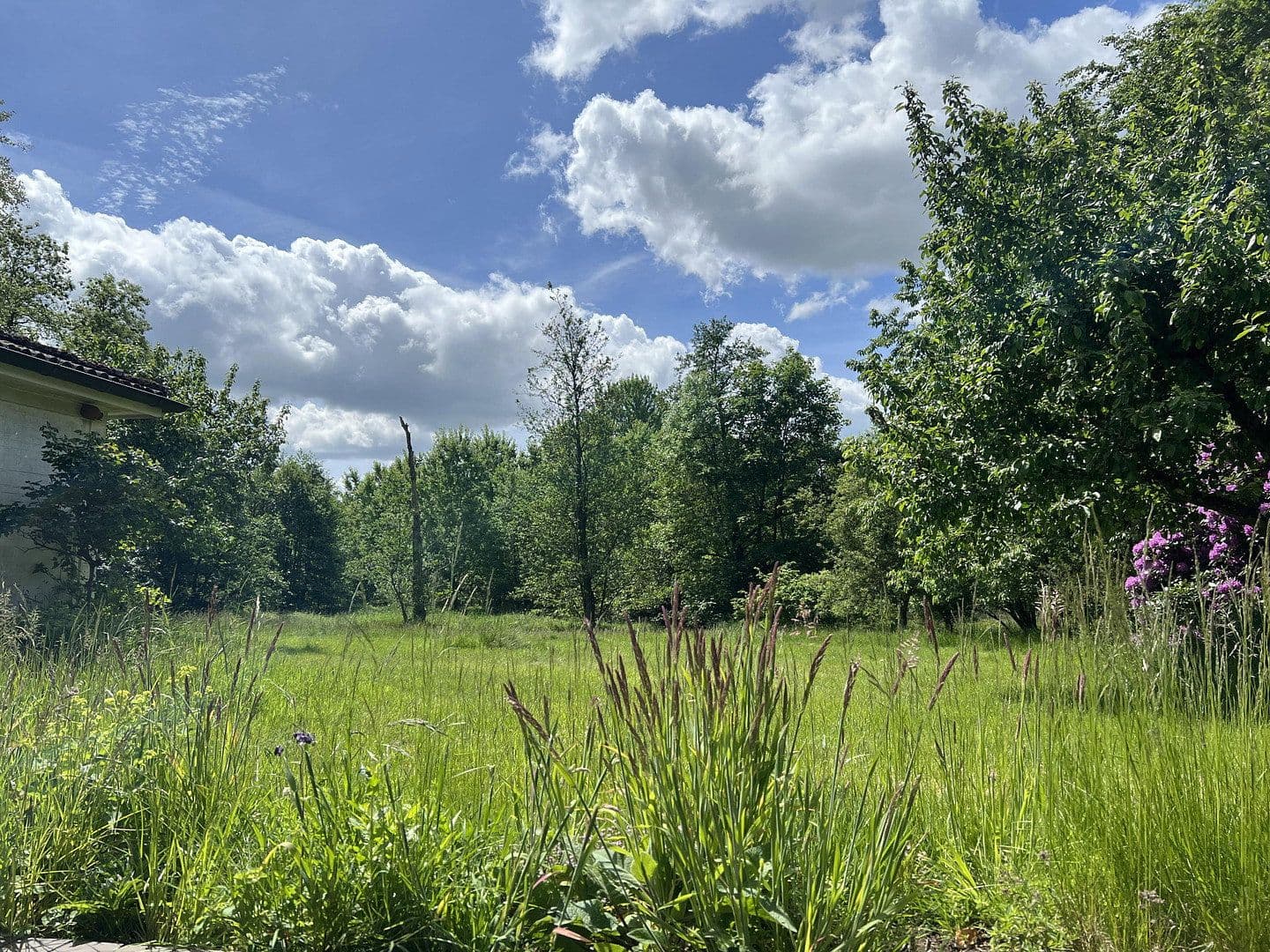 house for sale, 168 m², Leck, Schleswig-Holstein house for sale, 168 m², Leck, Schleswig-Holstein