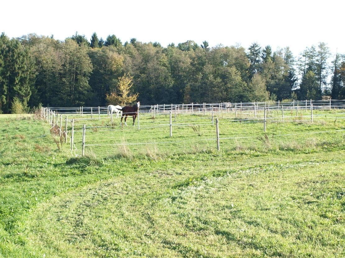plot for sale, 46,000 m², Abtsgmünd, Baden-Württemberg plot for sale, 46,000 m², Abtsgmünd, Baden-Württemberg
