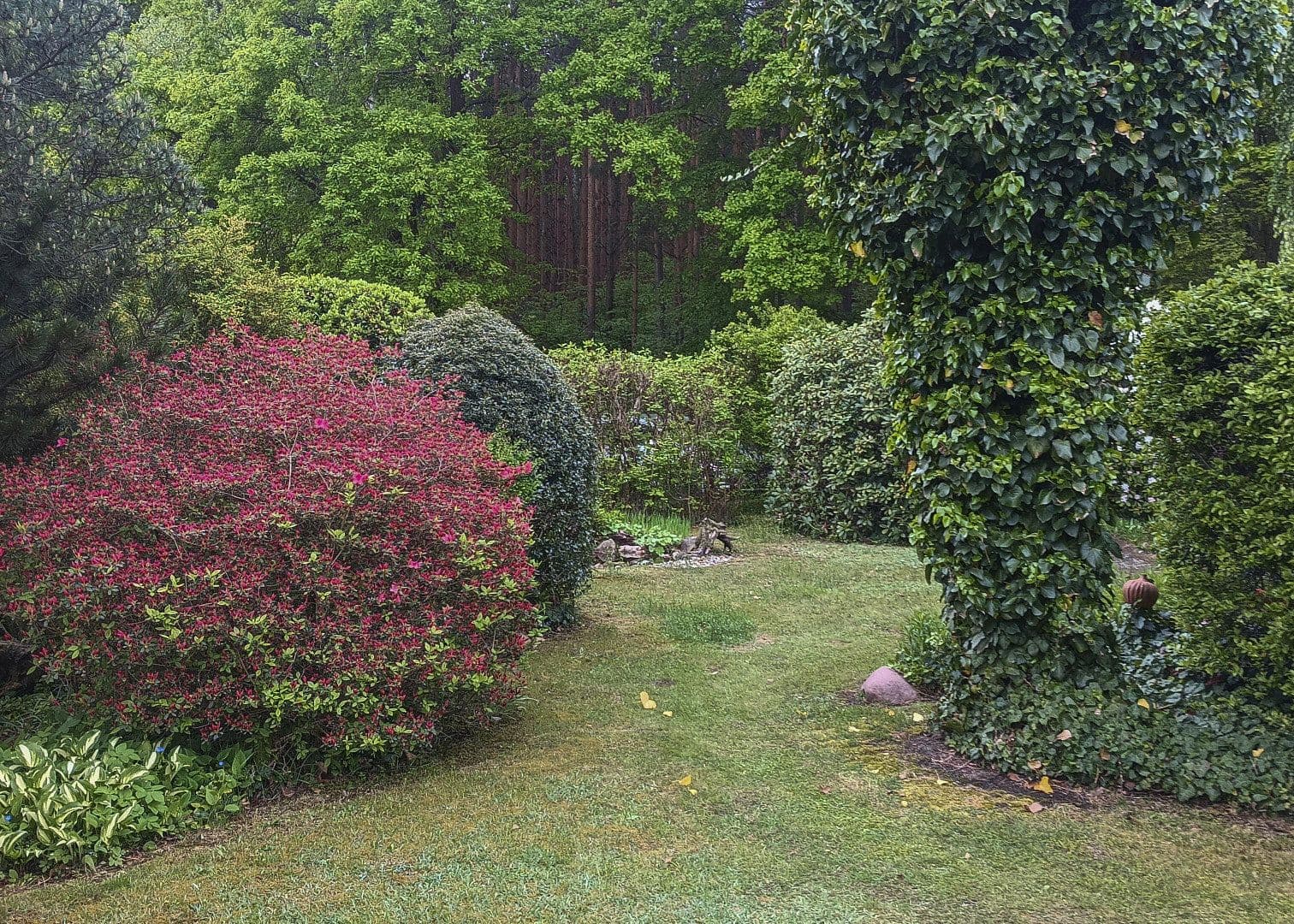 house for sale, 35 m², Fichtenweg 9, Niesky, Saxony house for sale, 35 m², Fichtenweg 9, Niesky, Saxony