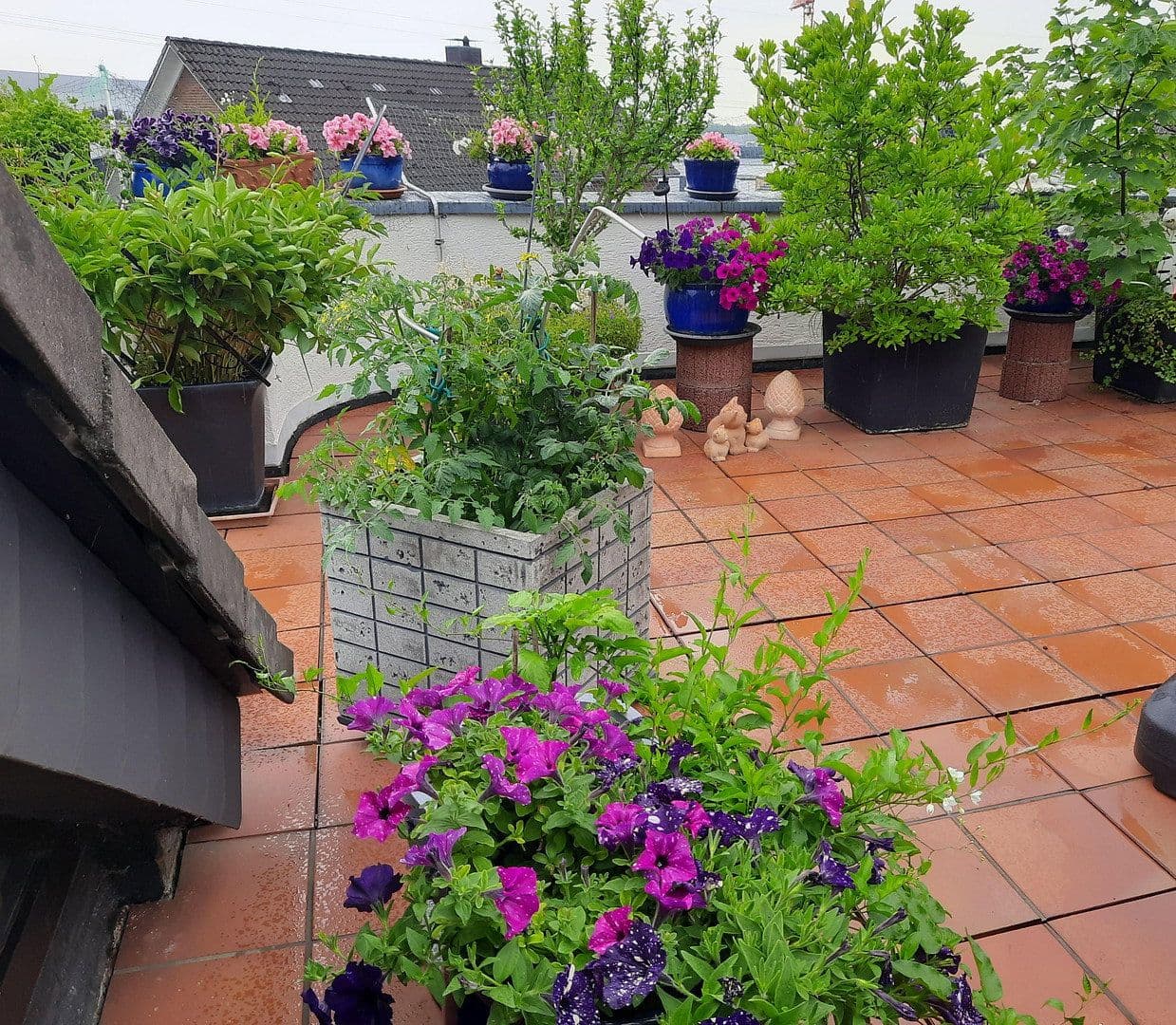 7 bedroom flat for sale, 192 m², Bergisch Gladbach, North Rhine-Westphalia 7 bedroom flat for sale, 192 m², Bergisch Gladbach, North Rhine-Westphalia