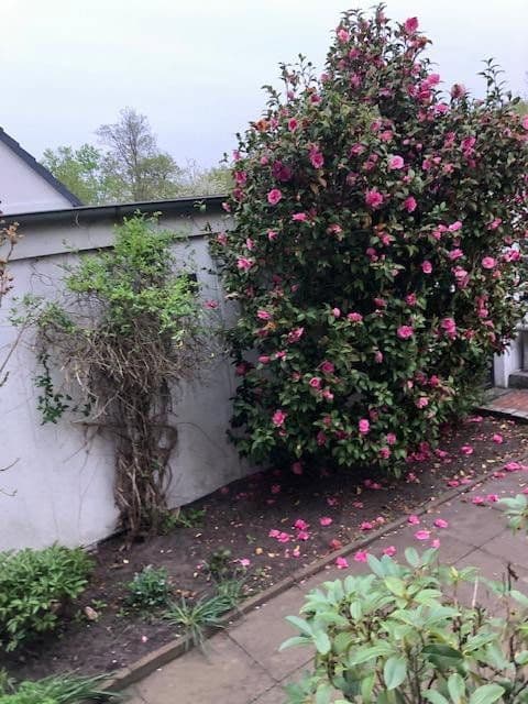 house for sale, 135 m², Hanover, Lower Saxony house for sale, 135 m², Hanover, Lower Saxony