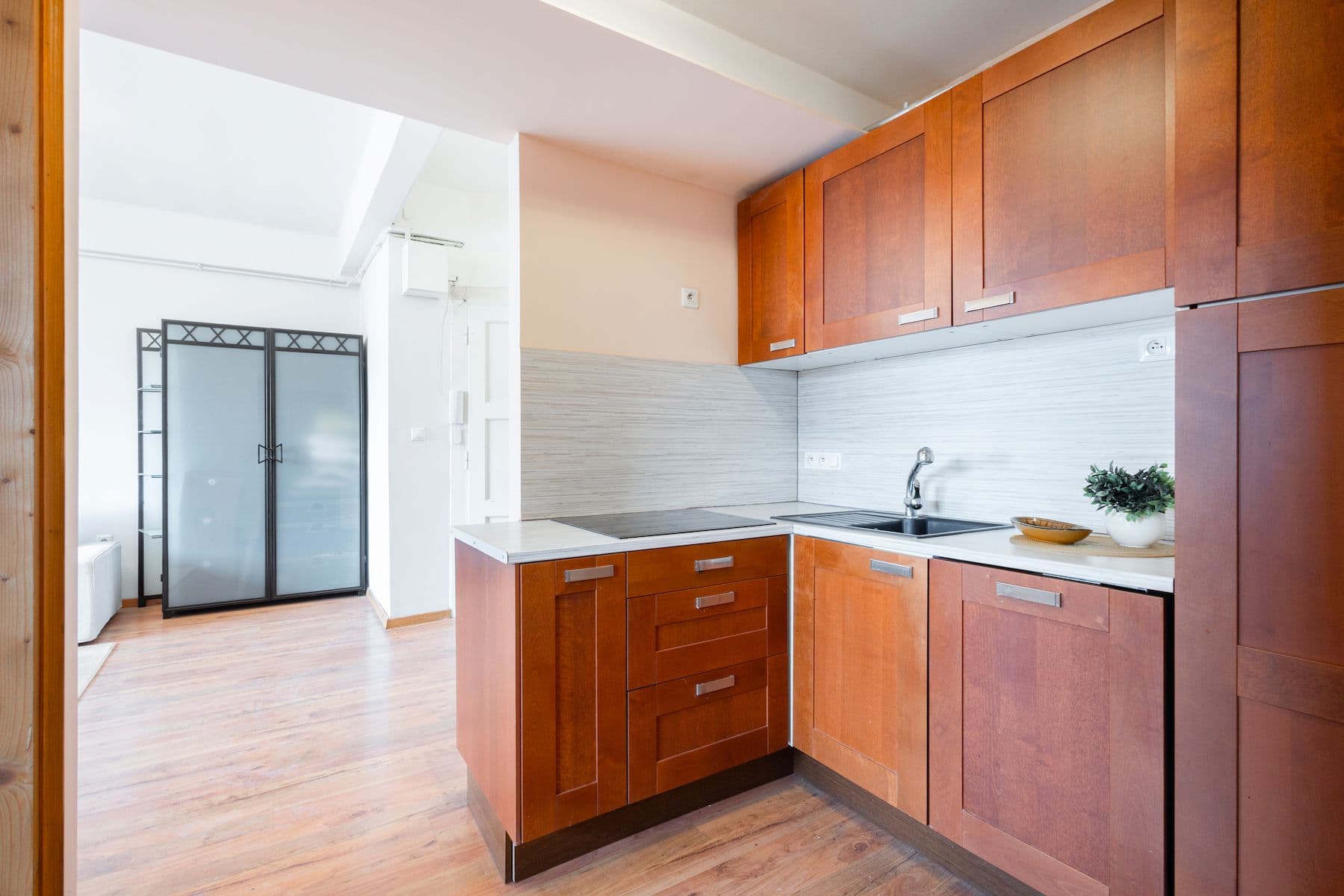 1 bedroom with open-plan kitchen flat for sale, 45 m², Jeseniova, Prague, Prague 1 bedroom with open-plan kitchen flat for sale, 45 m², Jeseniova, Prague, Prague