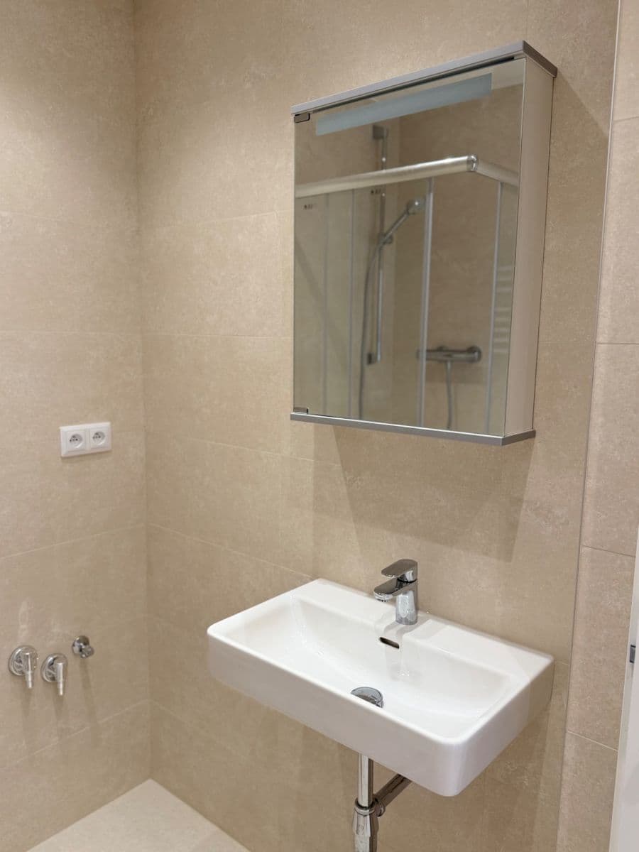 1 bedroom with open-plan kitchen flat to rent, 45 m², U Zvonařky, Prague, Prague 1 bedroom with open-plan kitchen flat to rent, 45 m², U Zvonařky, Prague, Prague