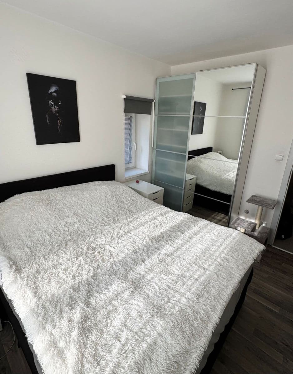 1 bedroom with open-plan kitchen flat to rent, 49 m², Na Farkáně Ⅰ, Prague, Prague 1 bedroom with open-plan kitchen flat to rent, 49 m², Na Farkáně Ⅰ, Prague, Prague