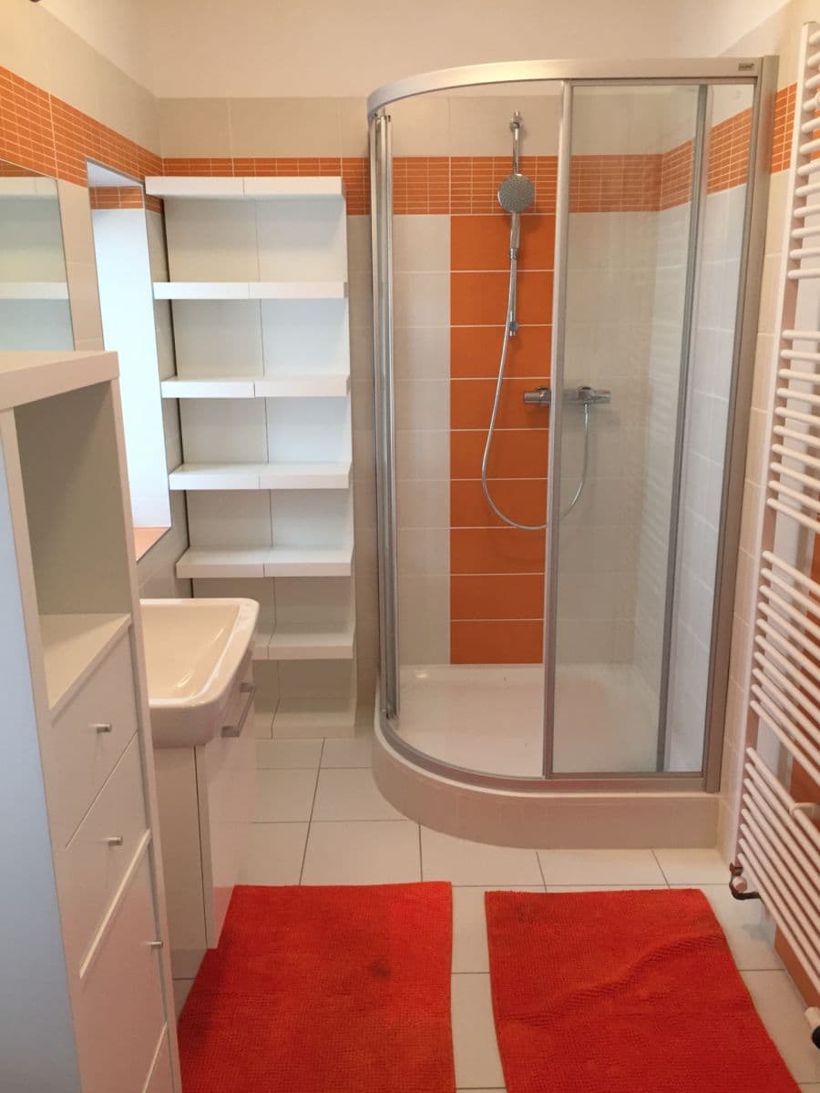 1 bedroom with open-plan kitchen flat to rent, 49 m², Na Farkáně Ⅰ, Prague, Prague 1 bedroom with open-plan kitchen flat to rent, 49 m², Na Farkáně Ⅰ, Prague, Prague