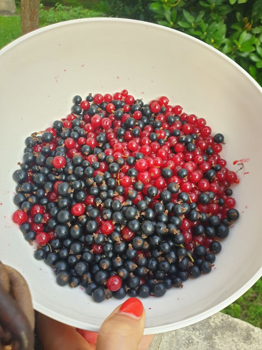 recreational property for sale, 545 m², Polní, Chrustenice, Středočeský Region recreational property for sale, 545 m², Polní, Chrustenice, Středočeský Region