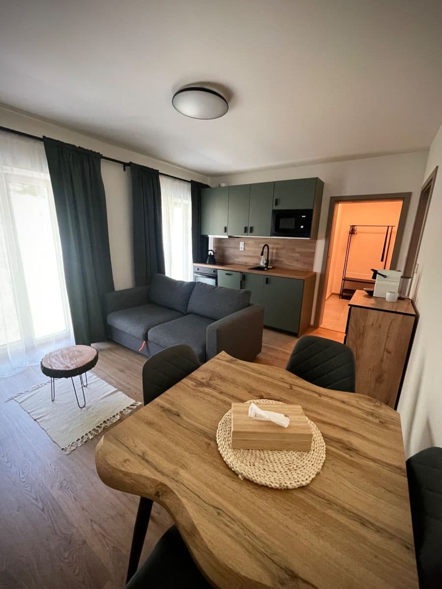 1 bedroom with open-plan kitchen flat for sale, 45 m², Merklín, Karlovarský Region 1 bedroom with open-plan kitchen flat for sale, 45 m², Merklín, Karlovarský Region