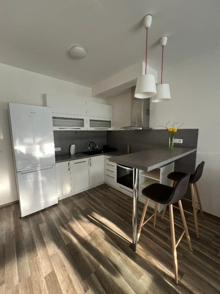 1 bedroom with open-plan kitchen flat to rent, 50 m², Klementova, Prague, Prague 1 bedroom with open-plan kitchen flat to rent, 50 m², Klementova, Prague, Prague