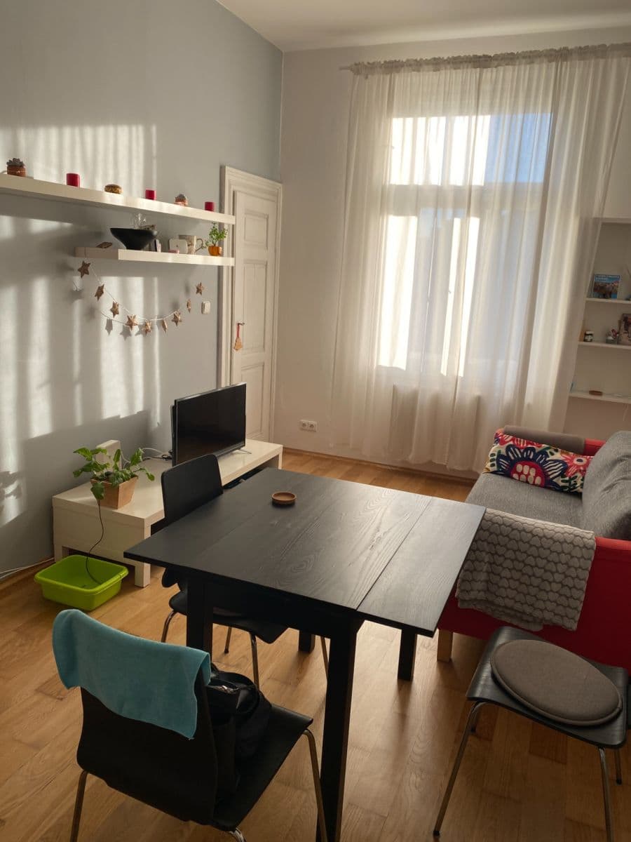 1 bedroom with open-plan kitchen flat to rent, 46 m², Mexická, Prague, Prague 1 bedroom with open-plan kitchen flat to rent, 46 m², Mexická, Prague, Prague
