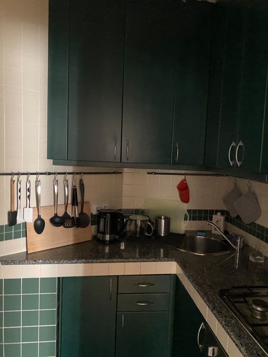 1 bedroom with open-plan kitchen flat to rent, 46 m², Mexická, Prague, Prague 1 bedroom with open-plan kitchen flat to rent, 46 m², Mexická, Prague, Prague