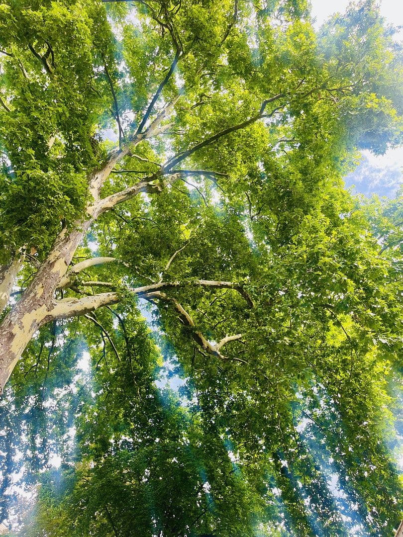 house for sale, 176 m², Köln, North Rhine-Westphalia house for sale, 176 m², Köln, North Rhine-Westphalia