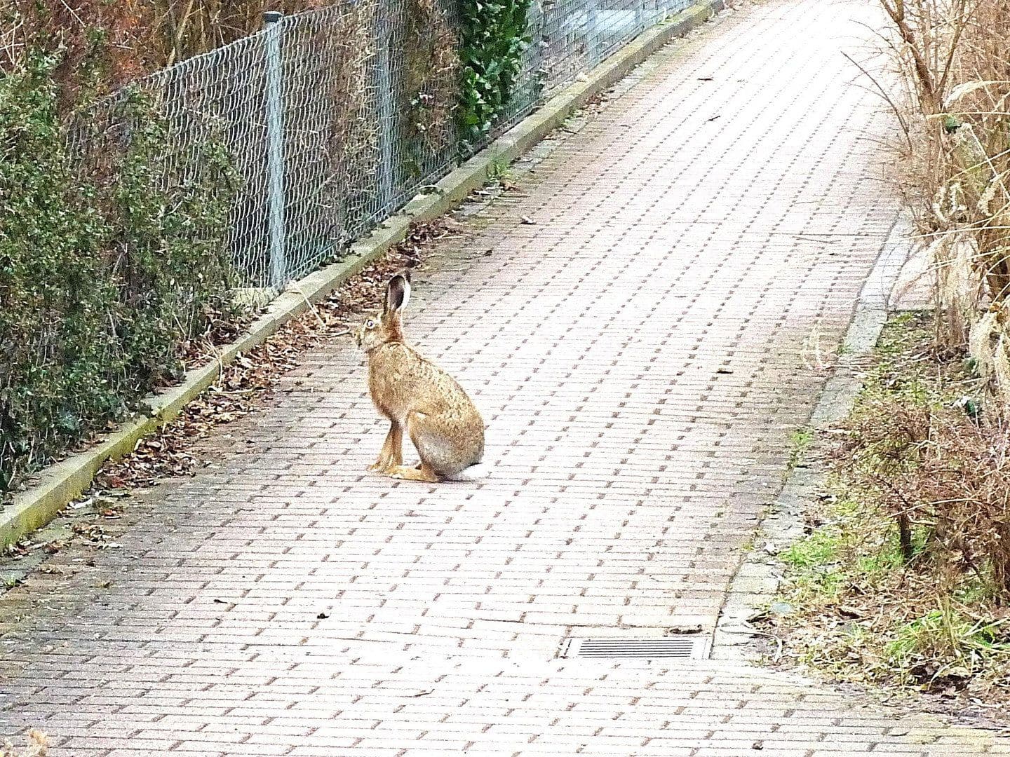 3 bedroom flat to rent, 76 m², Schlüsselfelder Str. 16a, Nürnberg, Bavaria 3 bedroom flat to rent, 76 m², Schlüsselfelder Str. 16a, Nürnberg, Bavaria