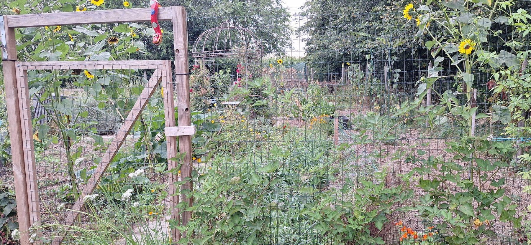 house for sale, 245 m², Wittingen, Lower Saxony house for sale, 245 m², Wittingen, Lower Saxony
