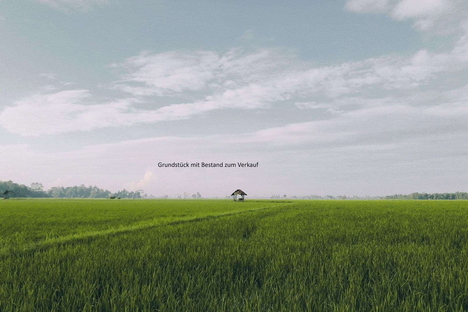 house for sale, 220 m², Hamburg, Hamburg house for sale, 220 m², Hamburg, Hamburg