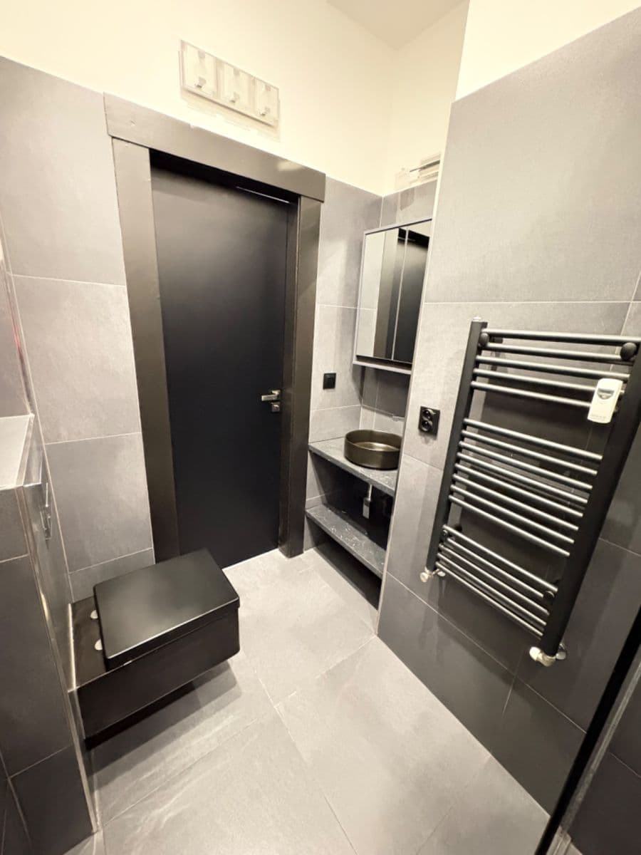 1 bedroom with open-plan kitchen flat to rent, 56 m², Zelená, Prague, Prague 1 bedroom with open-plan kitchen flat to rent, 56 m², Zelená, Prague, Prague