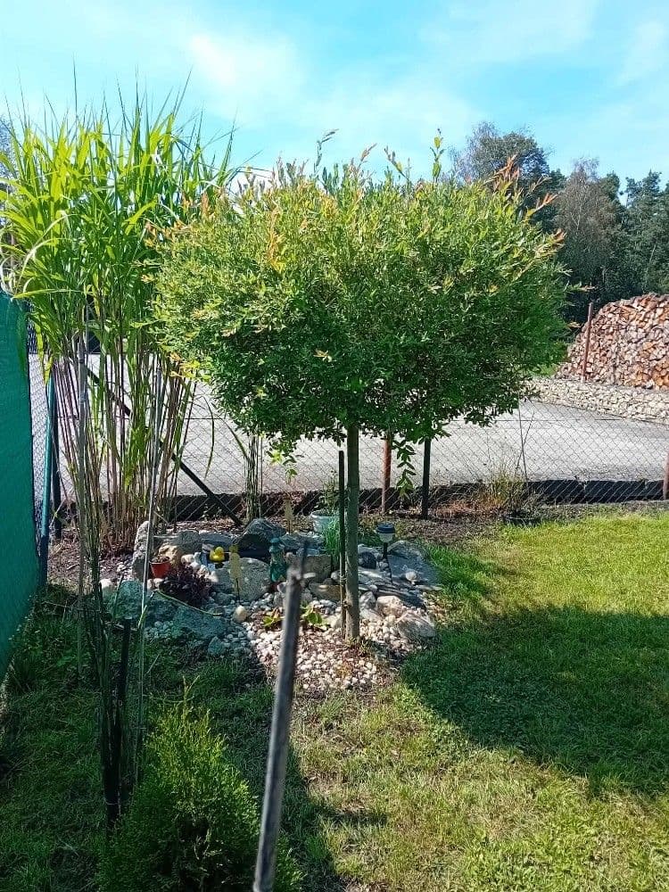 recreational property for sale, 196 m², Řípec, Jihočeský Region recreational property for sale, 196 m², Řípec, Jihočeský Region