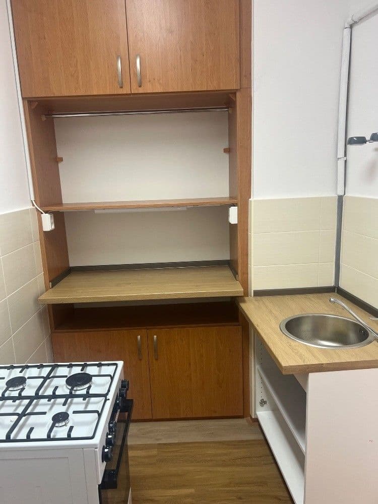 1 bedroom with open-plan kitchen flat to rent, 60 m², Vršovická, Prague, Prague 1 bedroom with open-plan kitchen flat to rent, 60 m², Vršovická, Prague, Prague