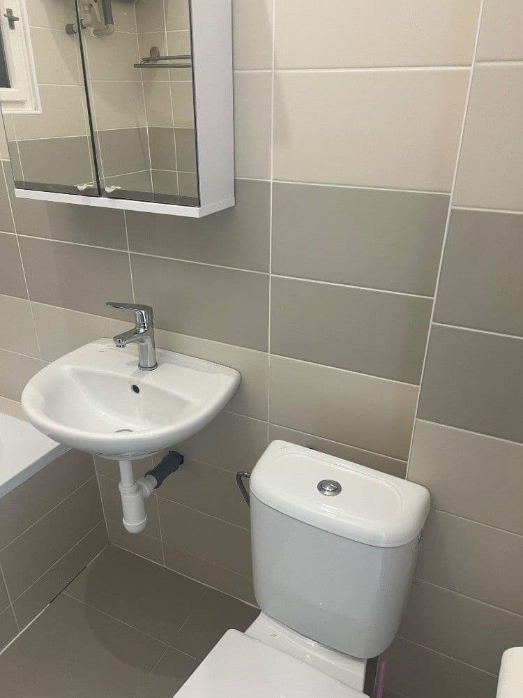 1 bedroom with open-plan kitchen flat to rent, 60 m², Vršovická, Prague, Prague 1 bedroom with open-plan kitchen flat to rent, 60 m², Vršovická, Prague, Prague