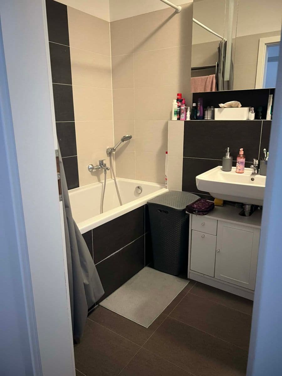 2 bedroom with open-plan kitchen flat to rent, 70 m², Řípská, Brno, Jihomoravský Region 2 bedroom with open-plan kitchen flat to rent, 70 m², Řípská, Brno, Jihomoravský Region