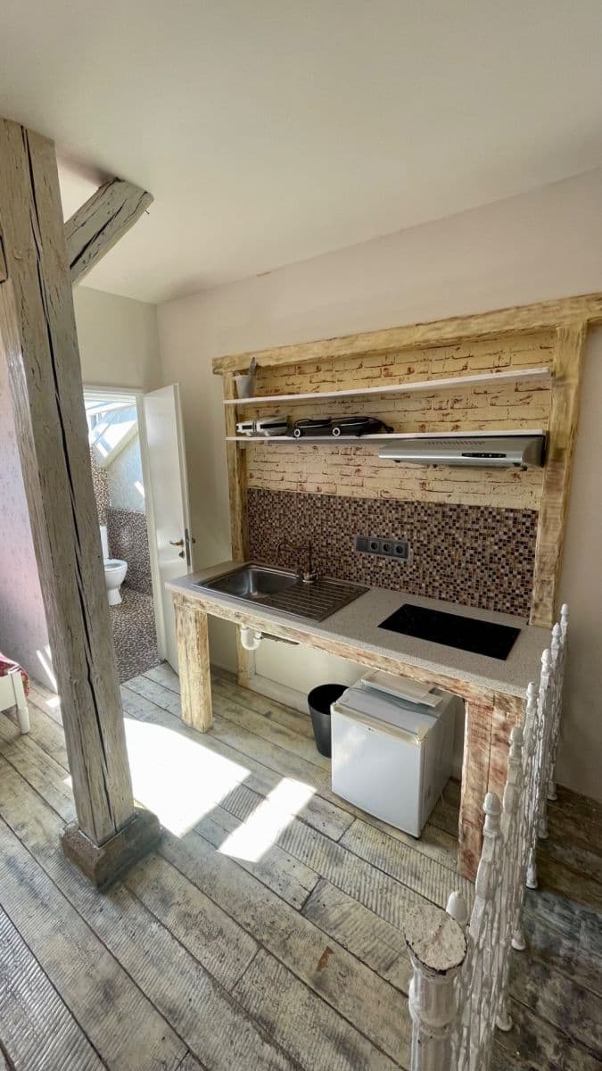 Studio flat to rent, 25 m², Lublaňská, Prague, Prague Studio flat to rent, 25 m², Lublaňská, Prague, Prague