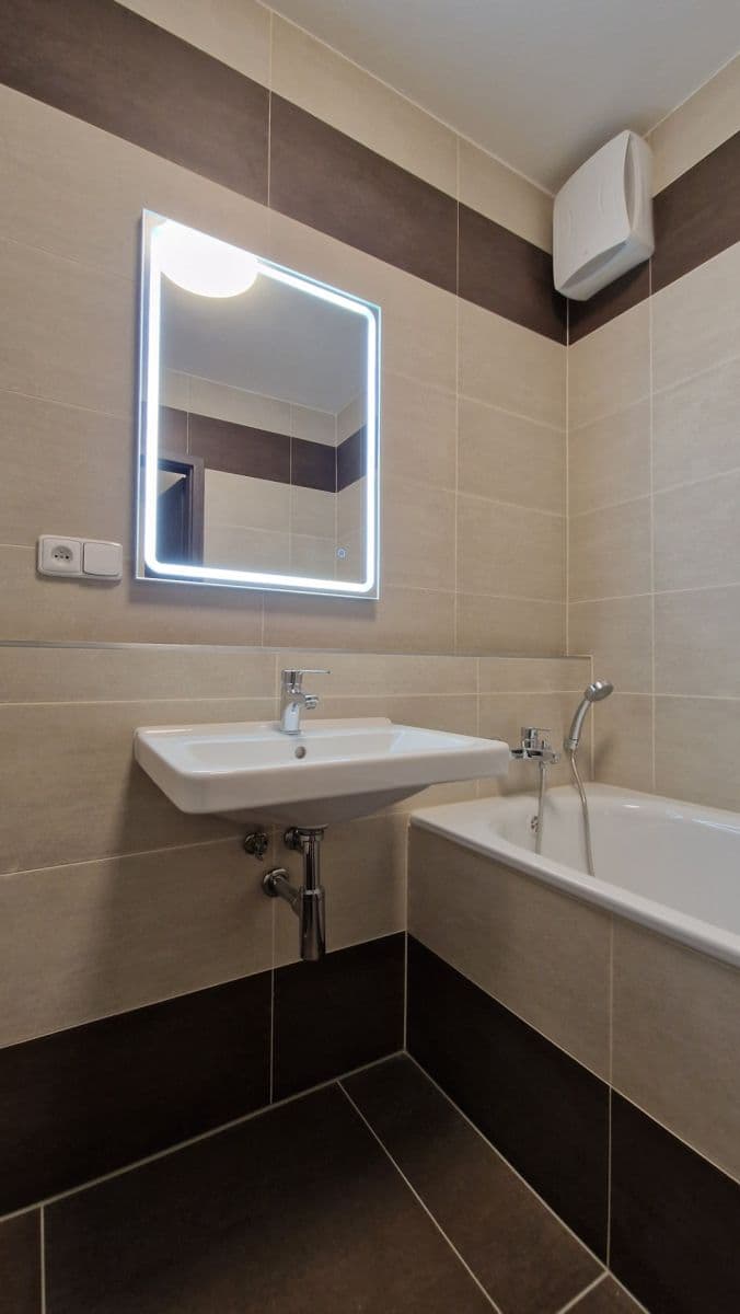 1 bedroom with open-plan kitchen flat to rent, 55 m², Studentská, Plzeň, Plzeňský Region 1 bedroom with open-plan kitchen flat to rent, 55 m², Studentská, Plzeň, Plzeňský Region