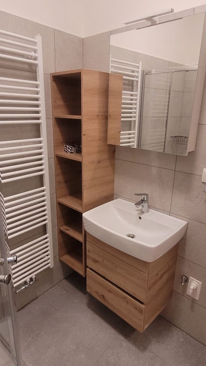 1 bedroom with open-plan kitchen flat to rent, 38 m², Holečkova, Prague, Prague 1 bedroom with open-plan kitchen flat to rent, 38 m², Holečkova, Prague, Prague