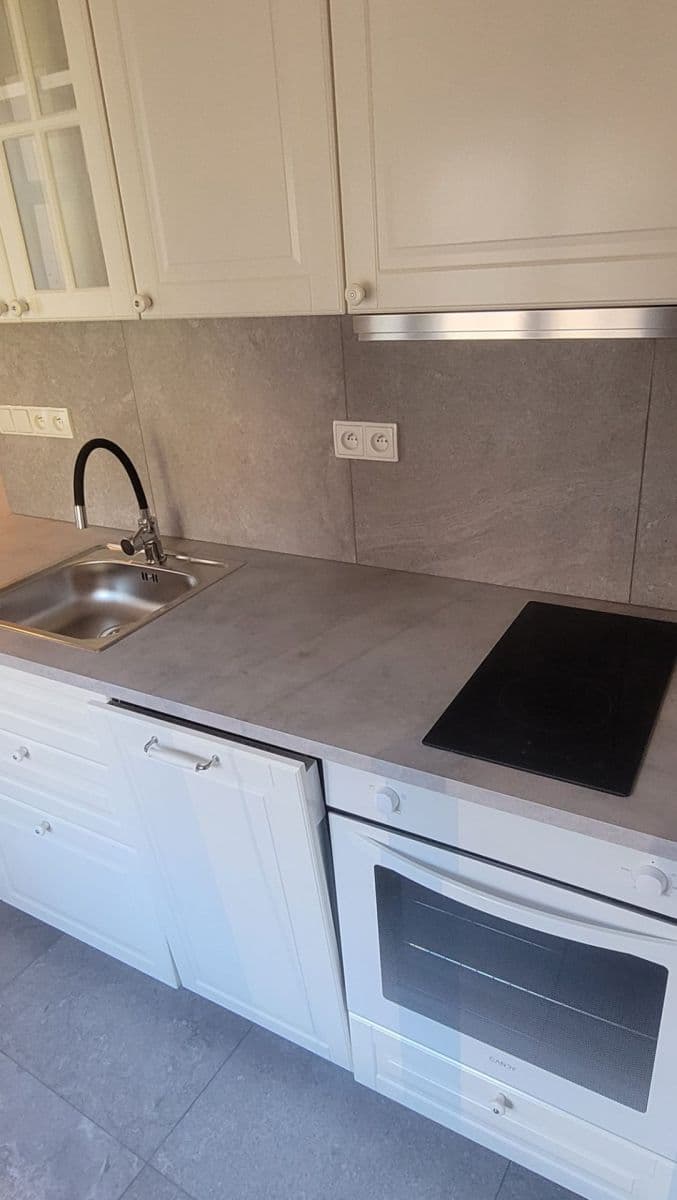 1 bedroom with open-plan kitchen flat to rent, 38 m², Holečkova, Prague, Prague 1 bedroom with open-plan kitchen flat to rent, 38 m², Holečkova, Prague, Prague