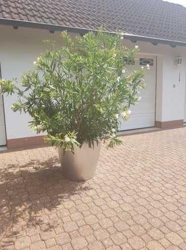 house for sale, 120 m², Grundweg 9, Wertheim, Baden-Württemberg house for sale, 120 m², Grundweg 9, Wertheim, Baden-Württemberg