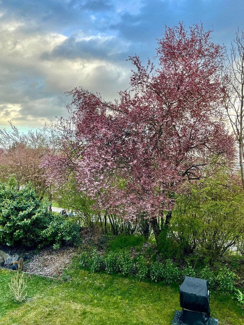 2 bedroom with open-plan kitchen flat for sale, 79 m², Max-Eyth-Str. 36, Pleidelsheim, Baden-Württemberg 2 bedroom with open-plan kitchen flat for sale, 79 m², Max-Eyth-Str. 36, Pleidelsheim, Baden-Württemberg