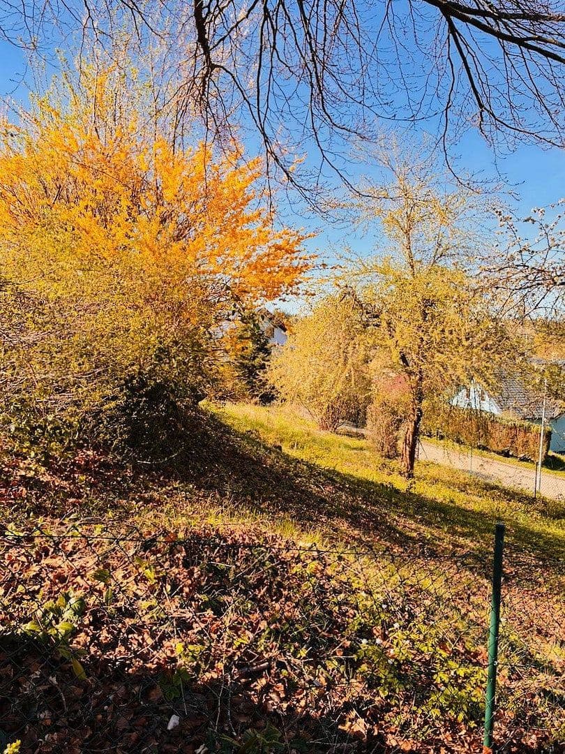 house for sale, 170 m², Schönbrunn, Baden-Württemberg house for sale, 170 m², Schönbrunn, Baden-Württemberg